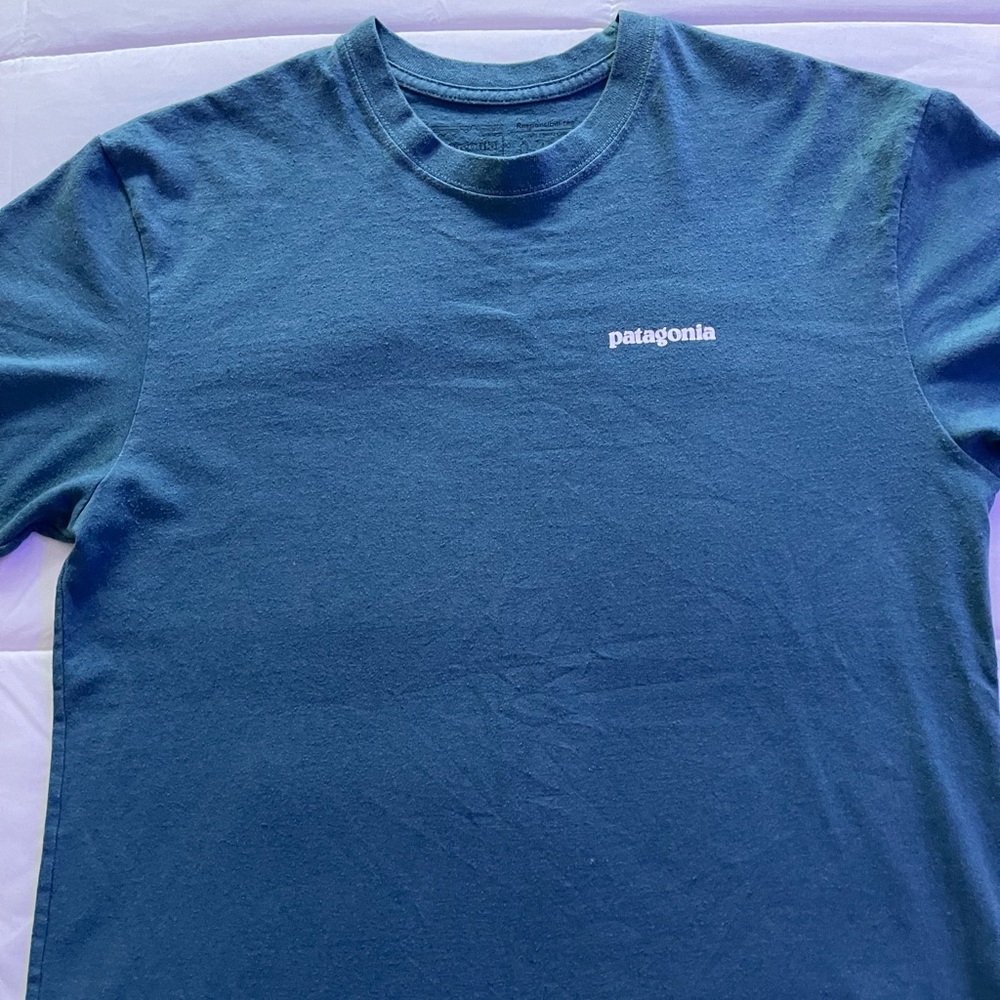 Patagonia shirt